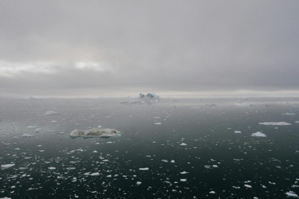 Loss of habitat and sea level changes